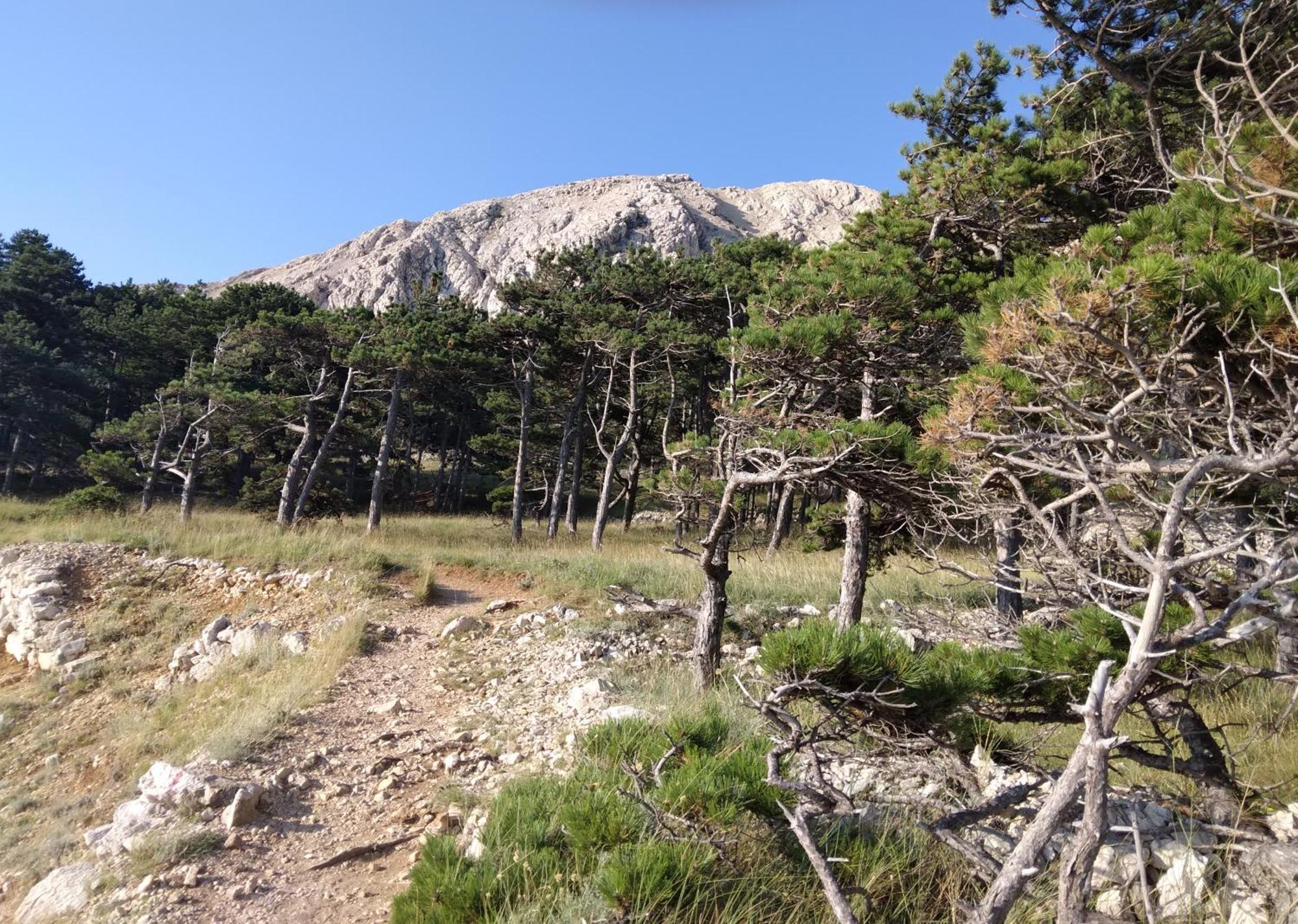Apartmani Baska S Pogledom Na More Εξωτερικό φωτογραφία